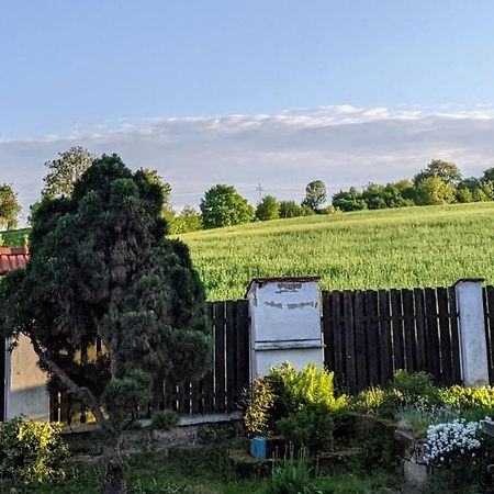 Chalupa U Rybnika Strehom Dolní Bousov المظهر الخارجي الصورة
